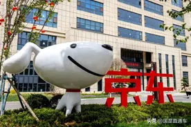 今年股价大跌逾36％，京东经历了什么？图片