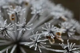 过去十年机器学习软件开发行业概览图片