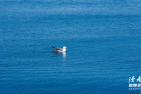 让你越活越好的8个自律习惯，请逼自己养成！图片