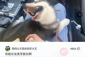 搞笑神评：用十亿换你十年牙疼，不能使用任何缓解手段，换不换？图片