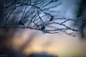 春运期间桂林冷暖起伏大，可能出现阶段性低温雨雪冰冻过程图片
