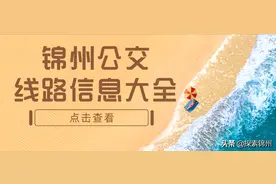 「便民」锦州公交最全线路信息大全（截止至2022年3月15日）图片
