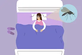 为什么一关上灯蚊子就开始嗡嗡叫？记住这两个方法，不被蚊子打扰图片