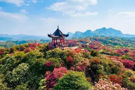 去贵州避暑旅游，来这8个景区，不但景色极美，所在地也超级凉爽图片
