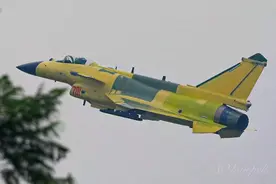 网传歼-10背上多了条“大脊梁”，为出口，还是为电子战做准备？图片