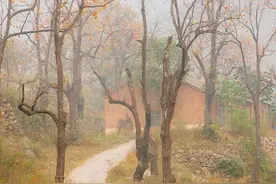 你知道陕西方言“崖娃娃”说的是什么吗？图片