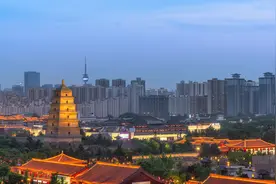 人类简史图片