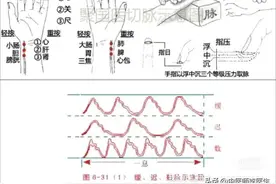 这样学脉诊、摸脉、把脉，很有意思图片