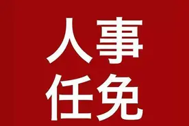重要人事任免来了【2024.11.11】图片