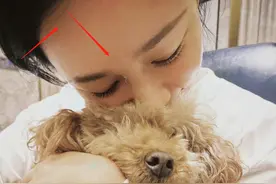 杨紫真恋爱了？刘学义疑跟张予曦分手，杨紫晒出同款狗狗心情大好图片