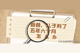 儿子判了五年六个月，怎么办图片