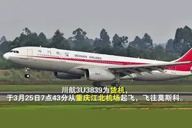 川航客机因故障返航，落地前空中盘旋8个小时，为何不直接着陆？图片