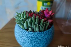 心有江湖，沧海一笑又何妨？图片