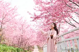 【收藏】新都最全赏花指南来了→图片