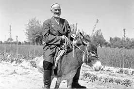 从新疆到北京，3800多公里，新疆大叔要骑毛驴去，为了感谢毛主席图片