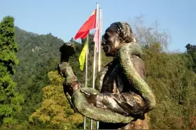 我国毒蛇小青龙，为何总遭国外“惦记”，凭什么一条价值100万？图片