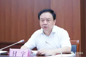 县委书记付宇主持召开巴河镇平安建设重点管理工作推进会图片