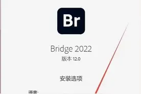 Bridge安装方法图片