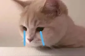 ​老坛酸菜方便面，我yue了，yue用英语怎么说？图片