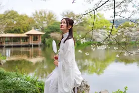 【禅宗智慧】养父母之心，免父母之忧图片