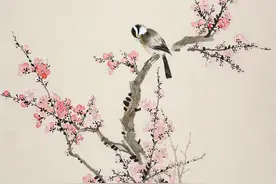 外科丹方选赏（一二四）瘢痕疙瘩经验方：五倍子丹参膏图片