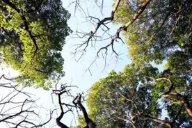 杨浦公园、黄兴公园已实行！月底杨浦区属公园100%实行！图片