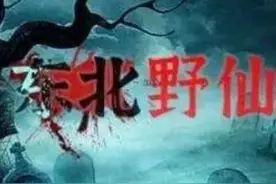 东北野仙录六图片