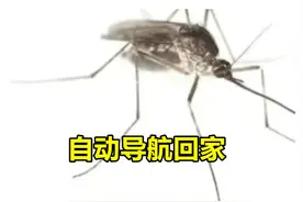 拼多多上的不发货，藏着多少年轻人的寂寞？图片