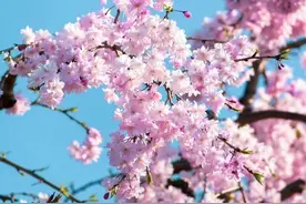 头条生机大会结束，收益立马下降，自媒体狂欢会曲终人散了吗？图片