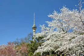 你与谁做夫妻，都是命中注定图片