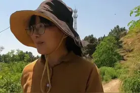 一家三口300亩农场4000只鸡，佛系农场主——芊然豆妈图片