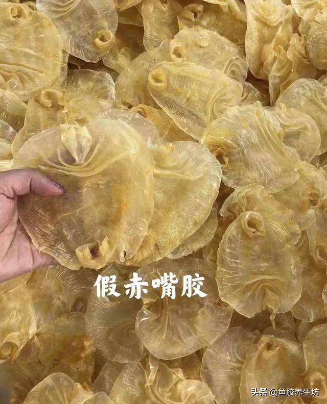 赤嘴鳘鱼胶真假 2026年赤嘴鱼胶的口感