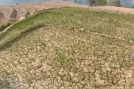 云南今年大旱灾的主要因素图片