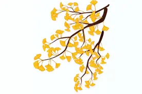 【编读往来】仰望苍穹 繁星闪烁——有感于读者阅读《繁星的升起和陨落》的留言图片