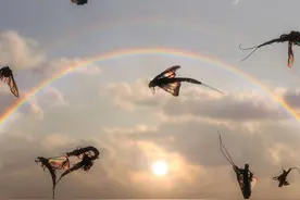 经历性骚扰，怎样才是最好的反应？图片