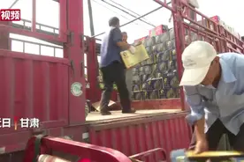 「央媒看渭源」仅有拳头大小的麒麟瓜 你想尝尝吗？图片