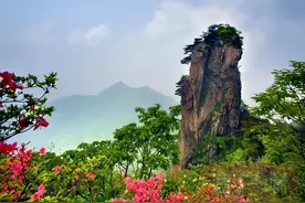 寻得英烈归故里，抗日英雄赵崇德遗骨返乡记图片