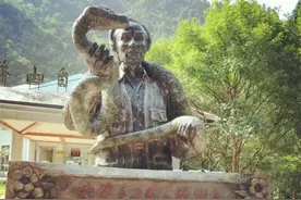 蛇中熊猫“小青龙”仅500多条，我国独有！为何总被外国人惦记？图片