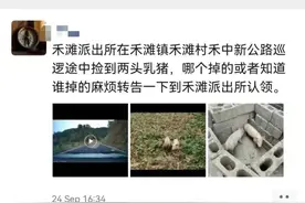 民警智擒“二师兄”！图片