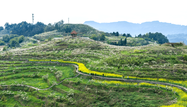 綦江永新石灰沟古道，至今保持原始风貌，太平桥背后故事悲壮感人