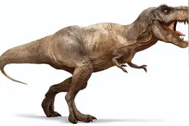 盘点史上体型最大的恐龙，地球上的巨无霸，霸王龙连号都排不上图片