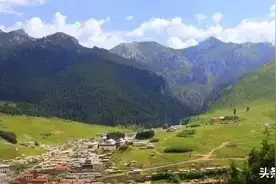 长征过夹金山，老红军以松针为垫，以松树为帐，睡了一个香甜好觉图片