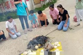 河南女孩父亲被打死，家徒四壁还有10兄妹嗷嗷待哺，谁来帮助？图片