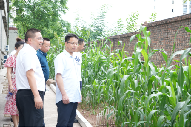 四川省民生研究会新媒体中心-官网