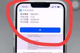 让你轻松的检查iPhone电池的健康状况，获取充电次数/容量等信息图片