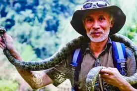 我国毒蛇小青龙，为什么总遭国外“惦记”？一条价值100万？图片