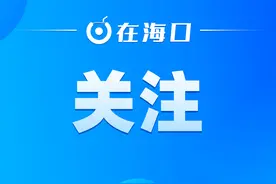 海口人速看！交管12123APP使用指南来啦！图片
