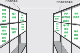 哪些果蔬适合放冰箱？怎样存放更健康？一文了解→图片