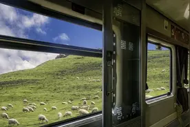 全程3000公里的列车，穿越4省需坐37个小时，票价合理图片