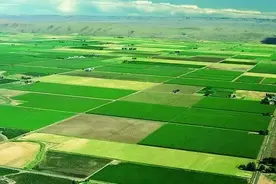 好消息!永久基本农田以外的农用地可以转为建设用地了!图片